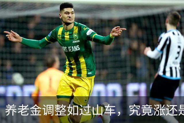 养老金调整如过山车，究竟涨还是不涨？